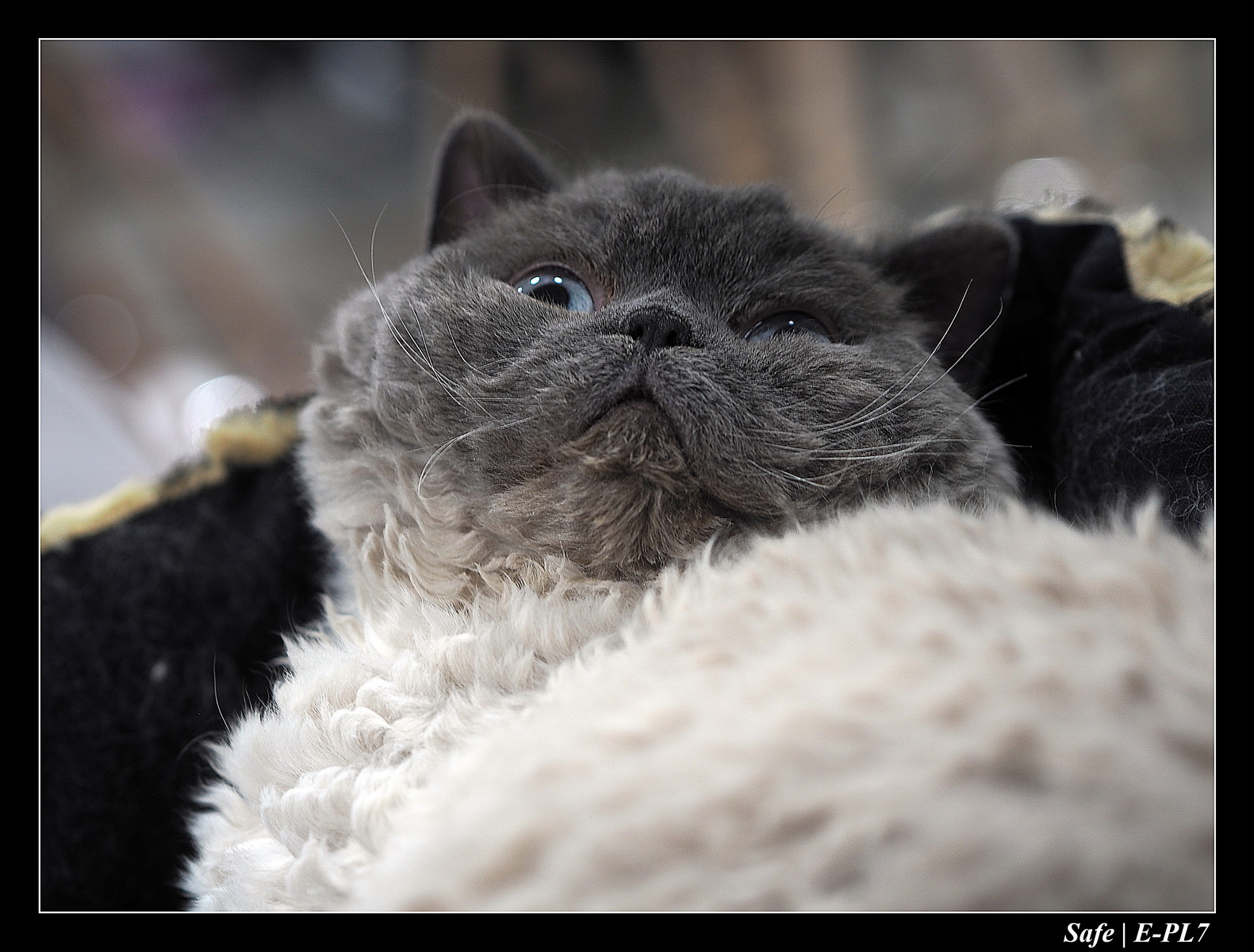 2020 - 02 - Salon agriculture 31